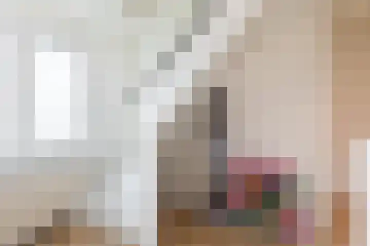 Beukendreef 26 Oisterwijk thumbnail 28