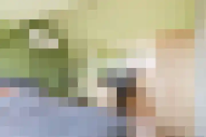 Beukendreef 26 Oisterwijk thumbnail 34