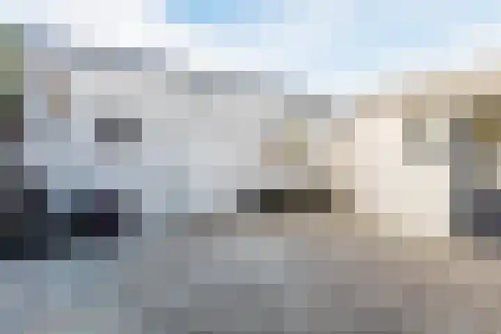 Beukendreef 26 Oisterwijk thumbnail 38