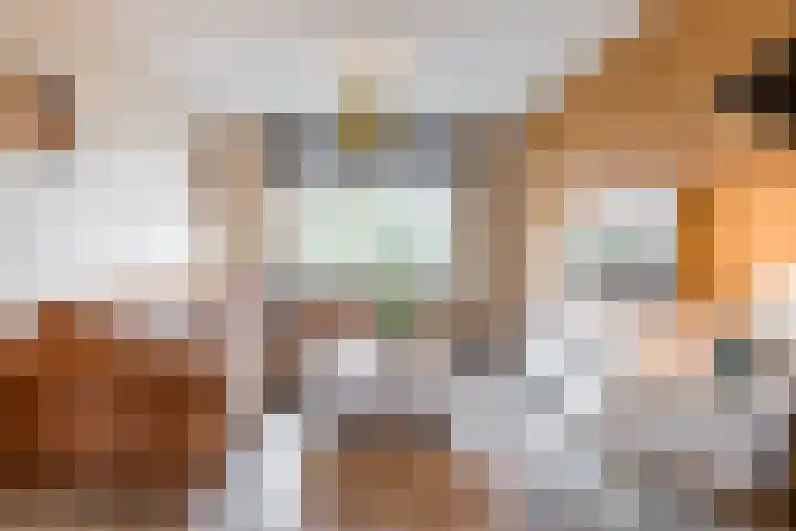 Beukendreef 26 Oisterwijk thumbnail 4