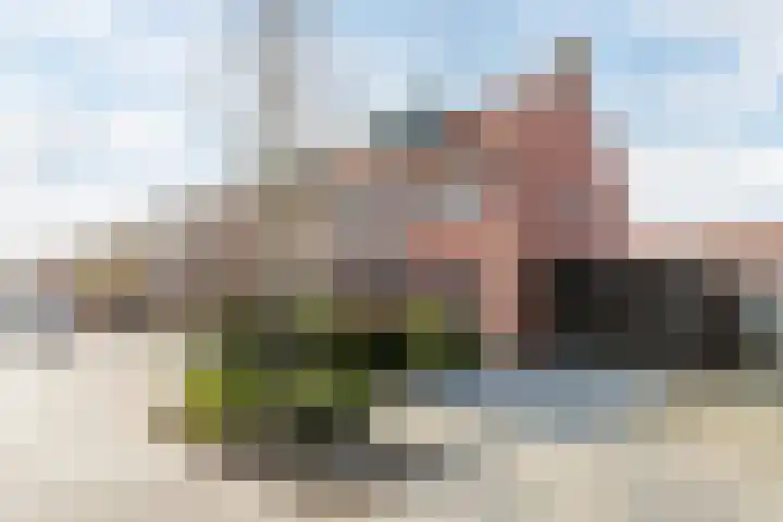 Beukendreef 26 Oisterwijk thumbnail 47
