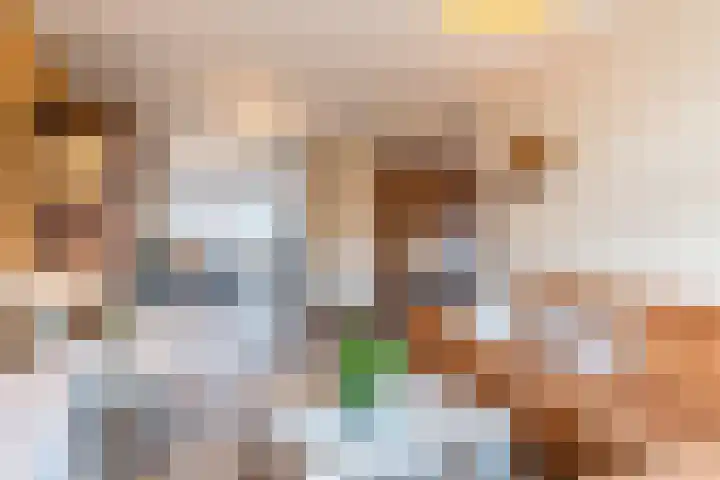 Beukendreef 26 Oisterwijk thumbnail 5