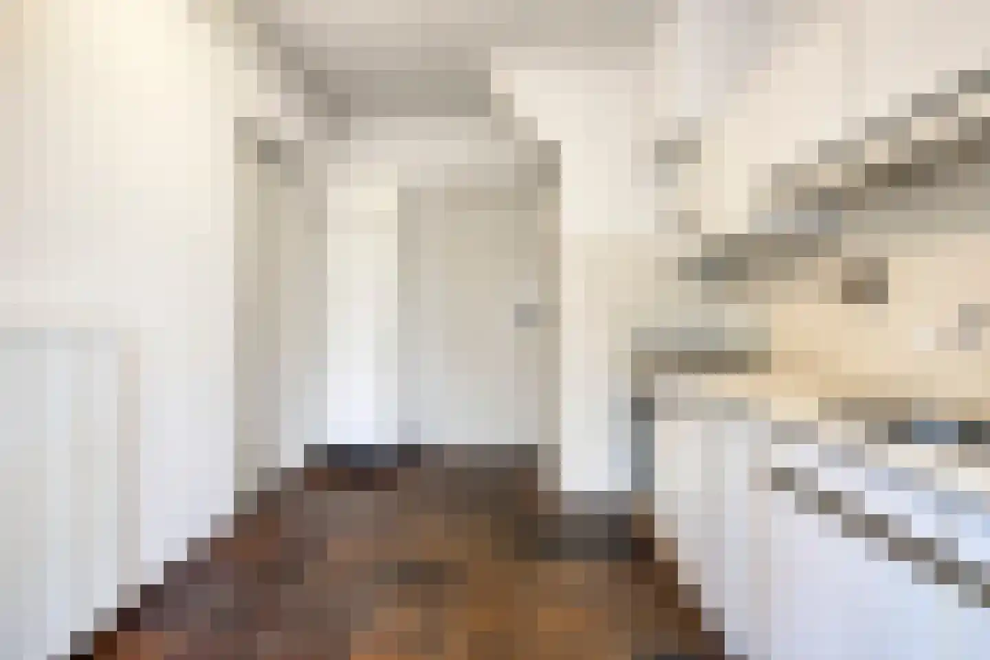 Beukendreef 3 Oisterwijk thumbnail 12