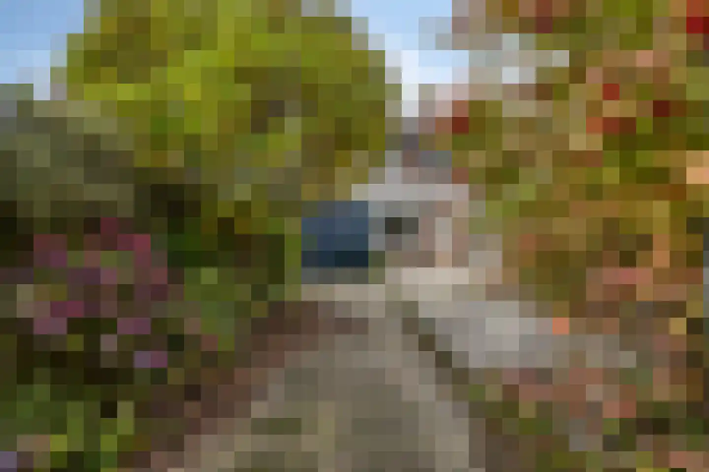 Beukendreef 3 Oisterwijk thumbnail 23