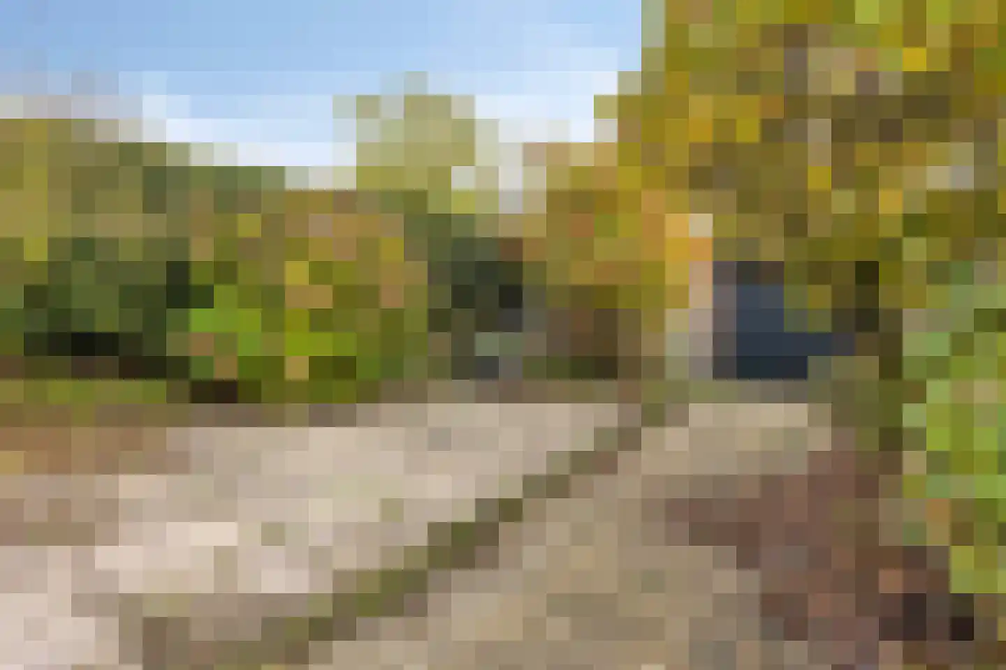 Beukendreef 3 Oisterwijk thumbnail 5
