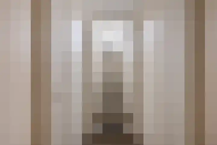 Beukendreef 34 Oisterwijk thumbnail 16