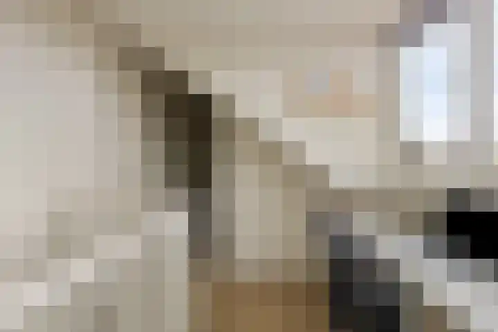 Beukendreef 34 Oisterwijk thumbnail 26
