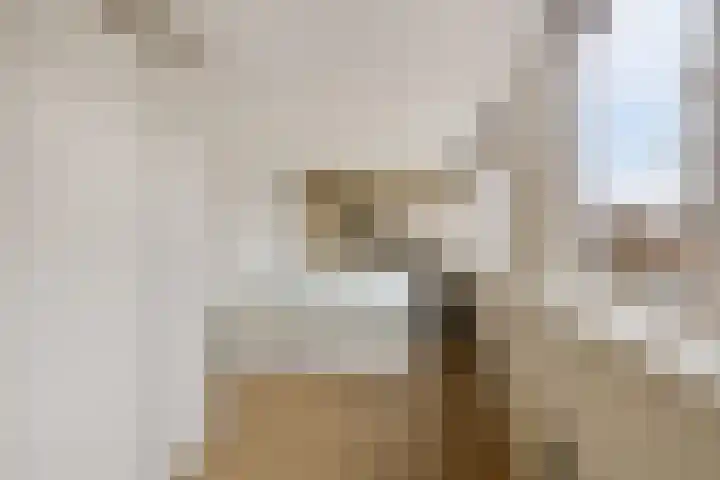Beukendreef 34 Oisterwijk thumbnail 29
