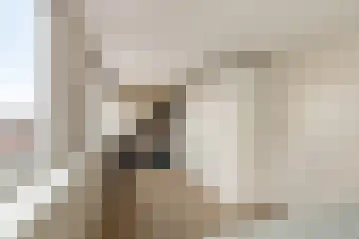 Beukendreef 34 Oisterwijk thumbnail 30