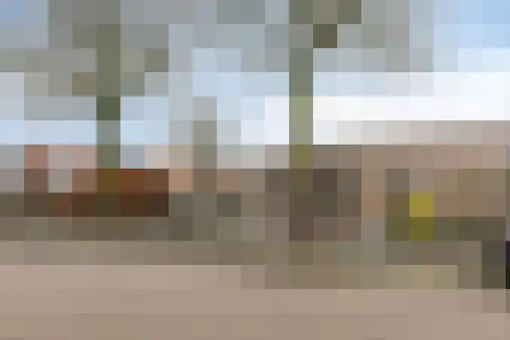 Beukendreef 34 Oisterwijk thumbnail 38