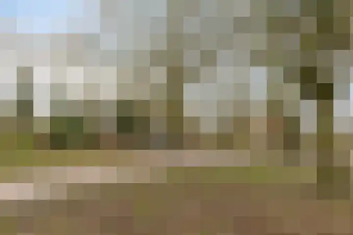 Beukendreef 34 Oisterwijk thumbnail 39