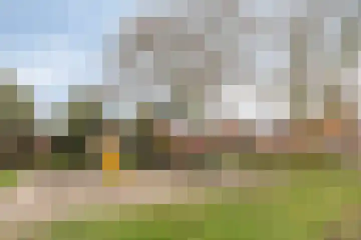 Beukendreef 34 Oisterwijk thumbnail 40