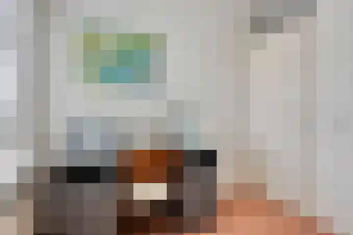 Beukendreef 36 Heeswijk-Dinther thumbnail 24