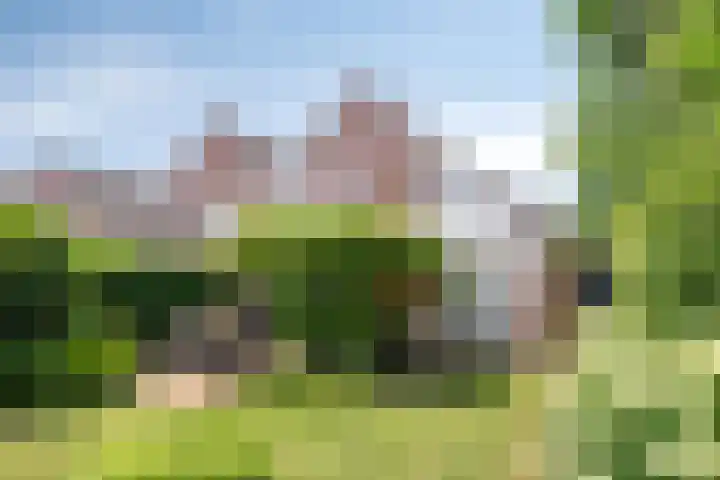 Beukendreef 36 Heeswijk-Dinther thumbnail 34