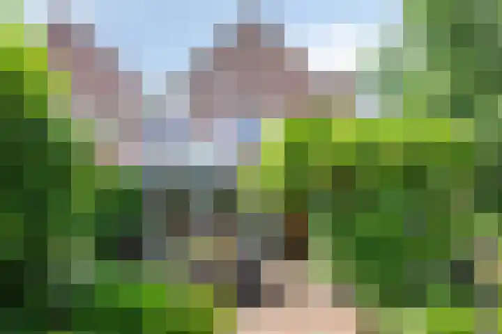 Beukendreef 36 Heeswijk-Dinther thumbnail 35
