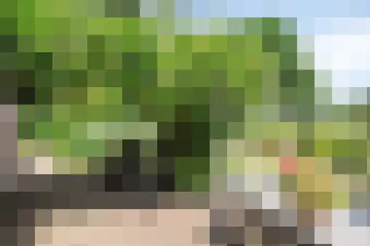 Beukendreef 36 Heeswijk-Dinther thumbnail 36