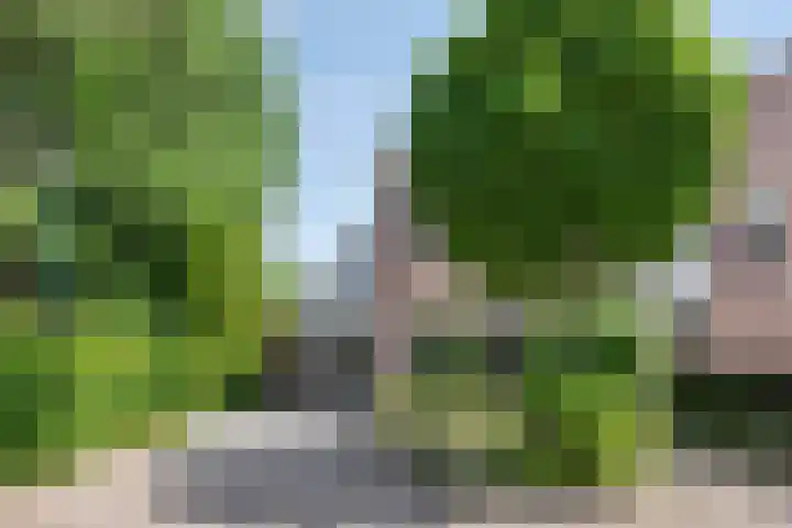 Beukendreef 36 Heeswijk-Dinther thumbnail 38