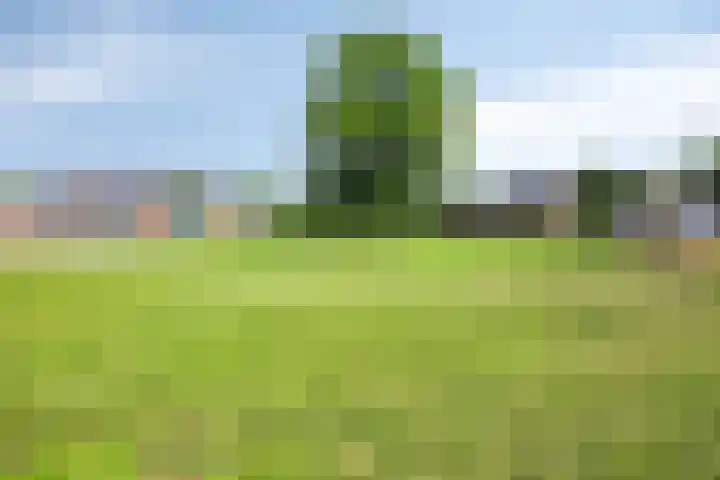 Beukendreef 36 Heeswijk-Dinther thumbnail 42