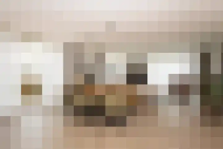 Beukendreef 39 Berkel-Enschot thumbnail 17