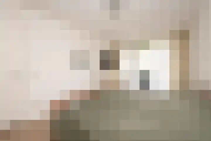 Beukendreef 39 Berkel-Enschot thumbnail 25