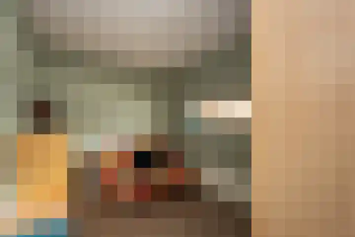 Beukendreef 39 Berkel-Enschot thumbnail 27