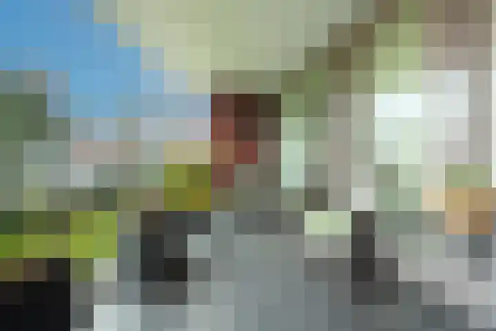 Beukendreef 39 Berkel-Enschot thumbnail 36
