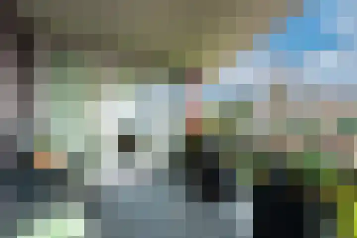 Beukendreef 39 Berkel-Enschot thumbnail 37