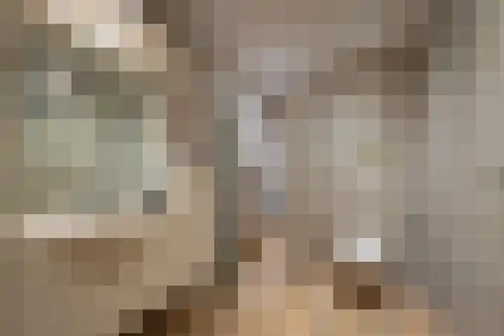 Beukendreef 39 Berkel-Enschot thumbnail 4