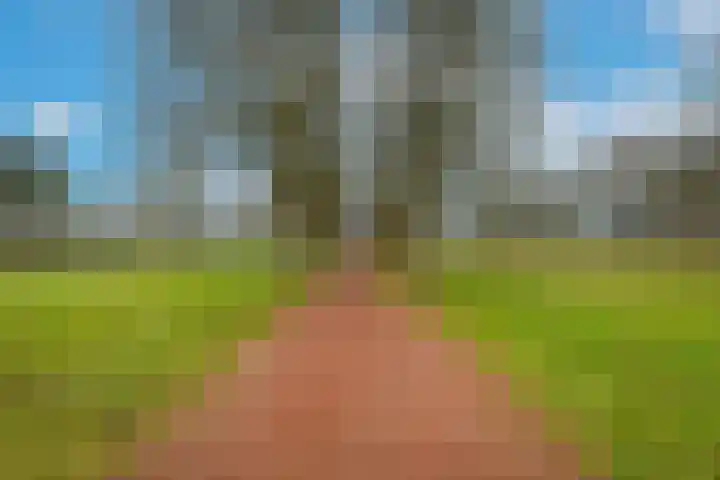 Beukendreef 39 Berkel-Enschot thumbnail 47