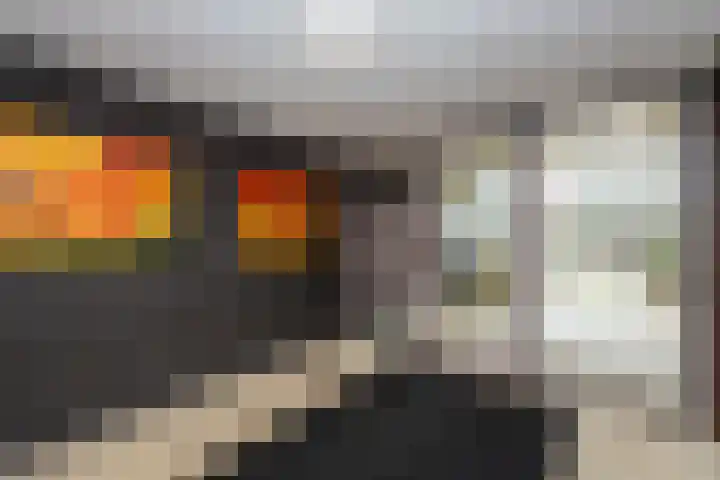 Beukendreef 39 Berkel-Enschot thumbnail 9