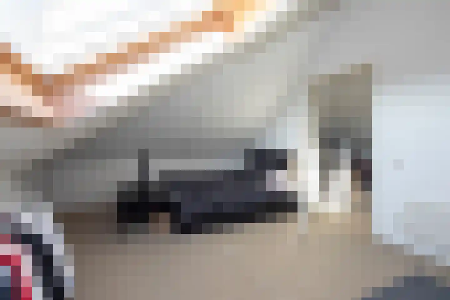 Beukendreef 48 Berkel-Enschot thumbnail 23