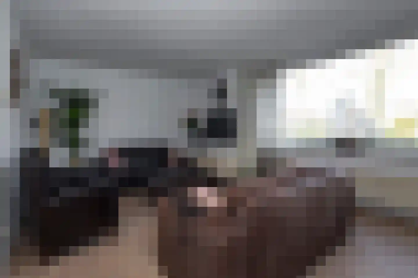 Beukendreef 48 Berkel-Enschot thumbnail 5