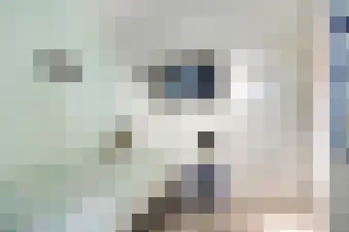 Beukendreef 5 Heeswijk-Dinther thumbnail 21
