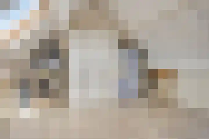 Beukendreef 5 Heeswijk-Dinther thumbnail 30