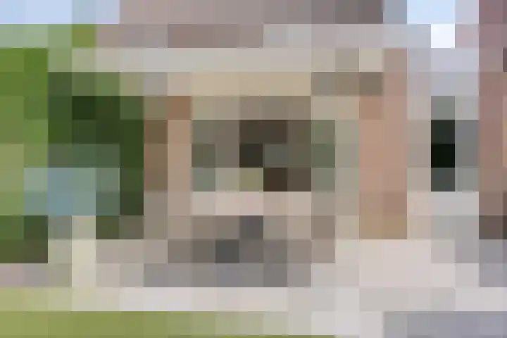 Beukendreef 5 Heeswijk-Dinther thumbnail 32