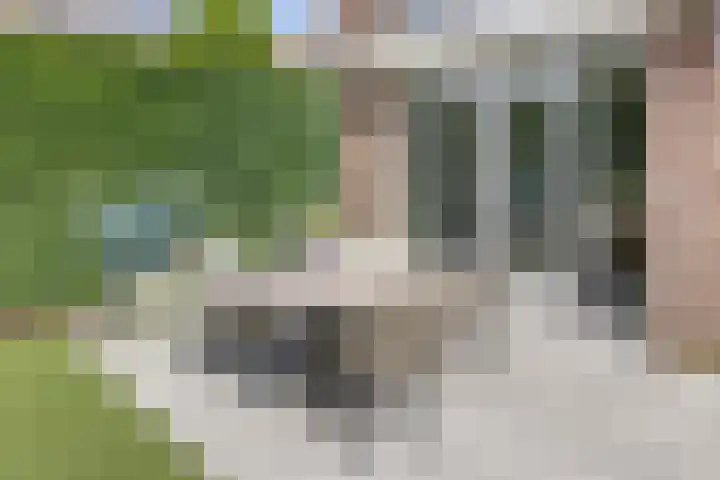 Beukendreef 5 Heeswijk-Dinther thumbnail 33