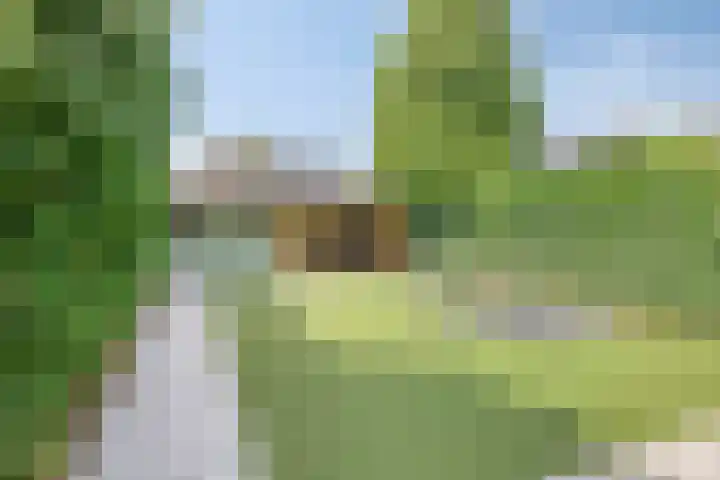 Beukendreef 5 Heeswijk-Dinther thumbnail 34