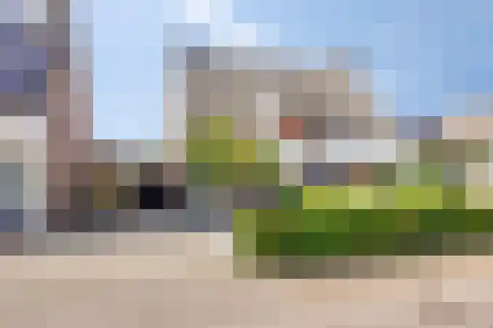 Beukendreef 5 Heeswijk-Dinther thumbnail 39