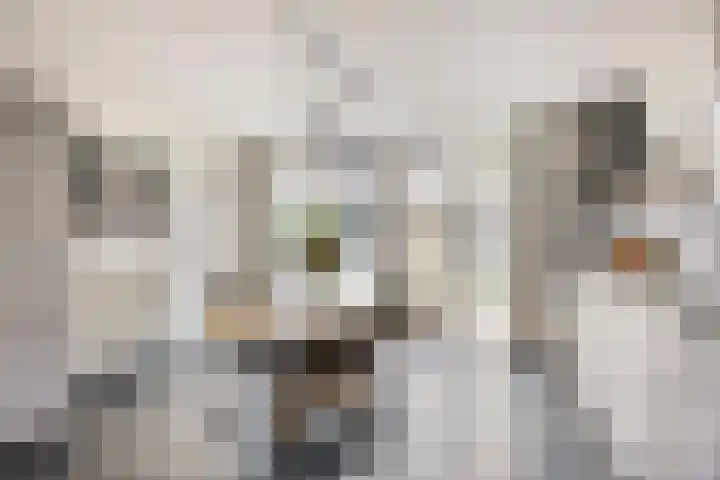 Beukendreef 5 Heeswijk-Dinther thumbnail 4