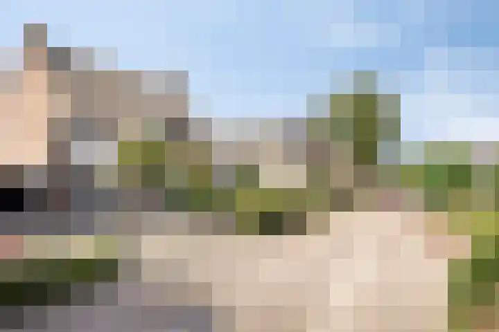 Beukendreef 5 Heeswijk-Dinther thumbnail 40