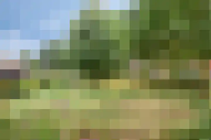 Beukendreef 5 Heeswijk-Dinther thumbnail 42