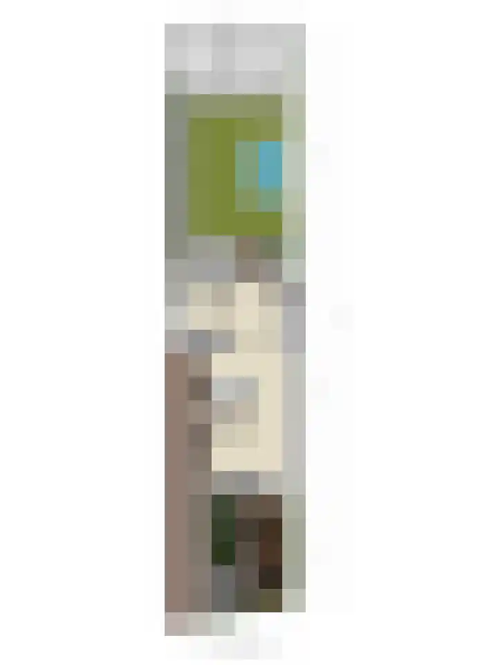 Beukendreef 5 Heeswijk-Dinther thumbnail 43