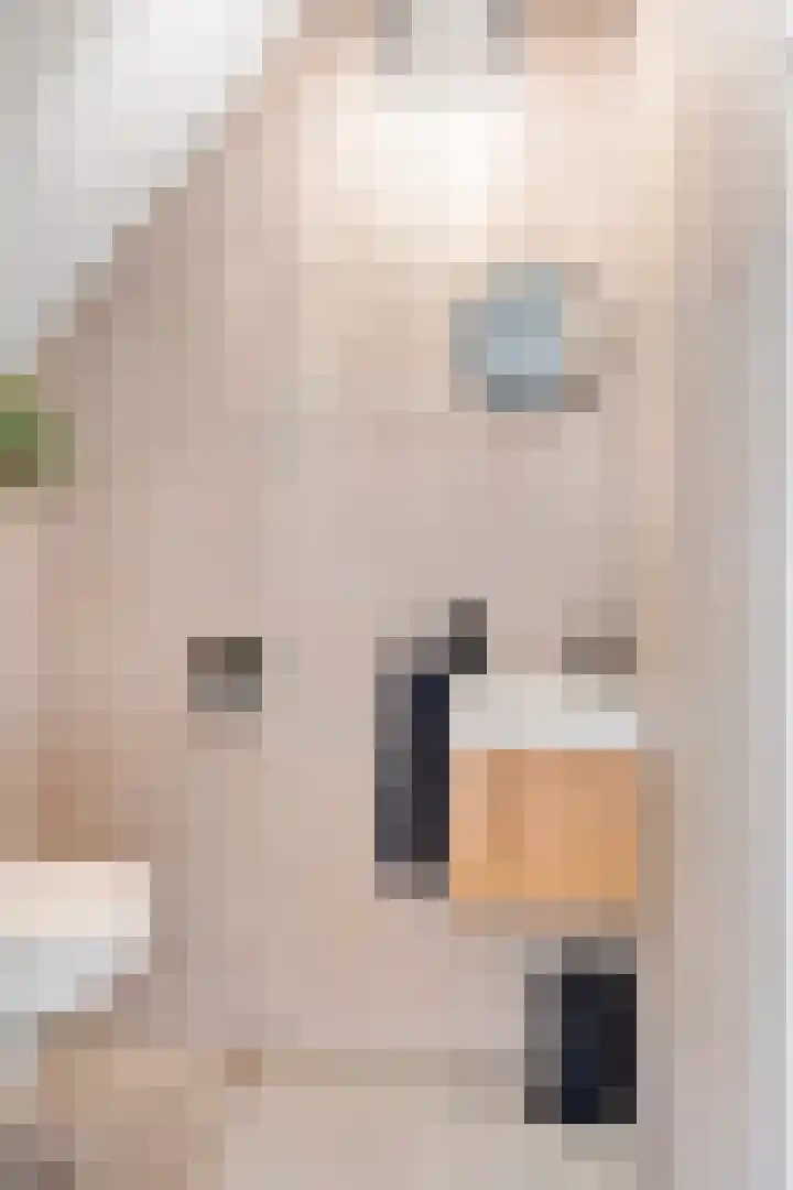 Beukendreef 5 Heeswijk-Dinther thumbnail 6