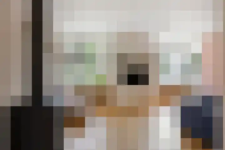 Beukendreef 5 Heeswijk-Dinther thumbnail 7