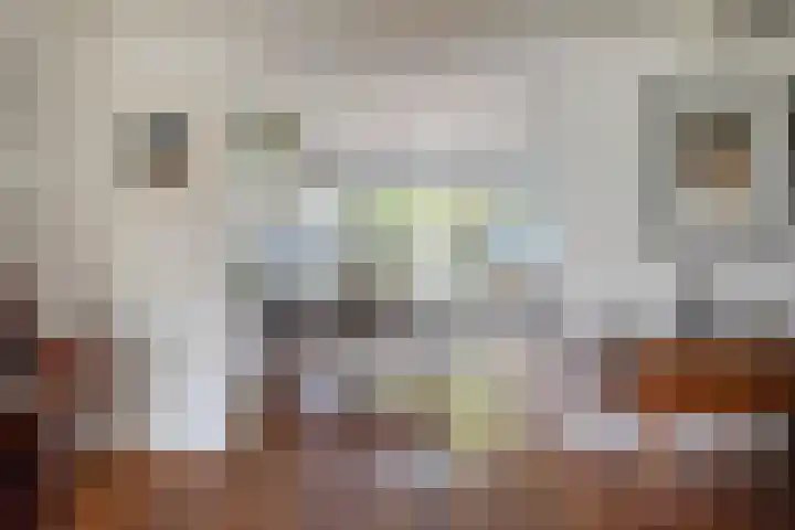 Beukendreef 50 Oisterwijk thumbnail 16