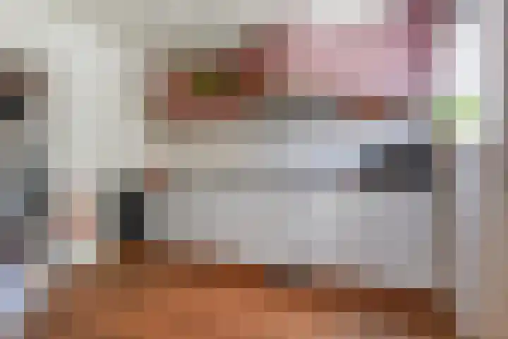 Beukendreef 50 Oisterwijk thumbnail 22
