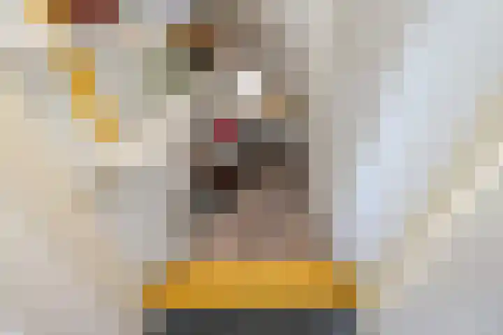 Beukendreef 50 Oisterwijk thumbnail 23