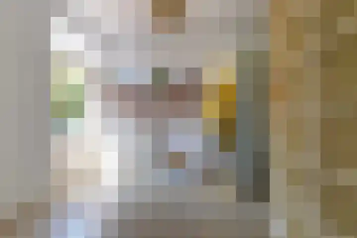 Beukendreef 50 Oisterwijk thumbnail 24