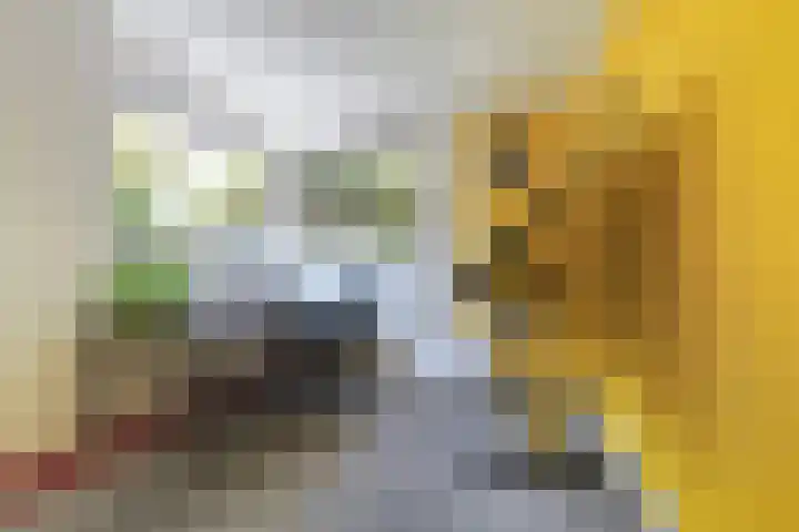 Beukendreef 50 Oisterwijk thumbnail 25