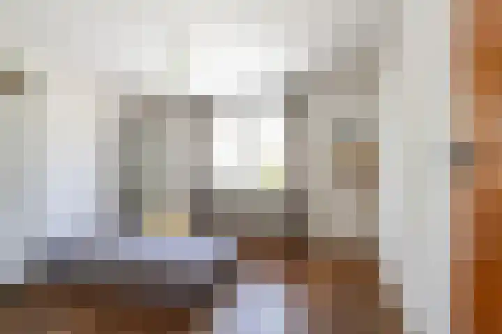 Beukendreef 50 Oisterwijk thumbnail 30